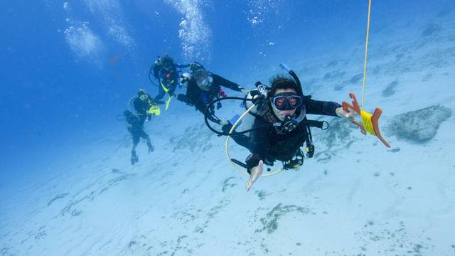 S - DIVING