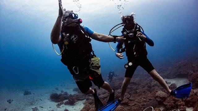 Drake Bay Diving