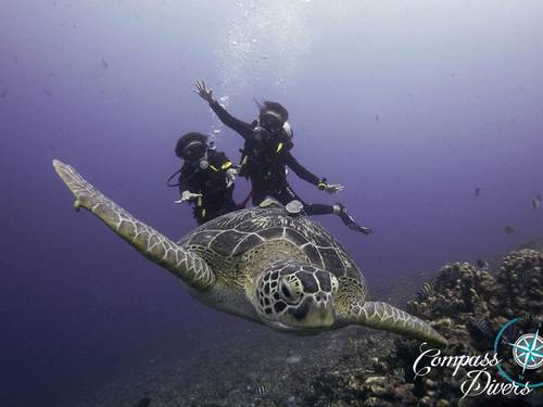 Compass Divers