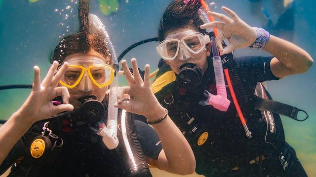 Thalassa Diving Center Chalkis