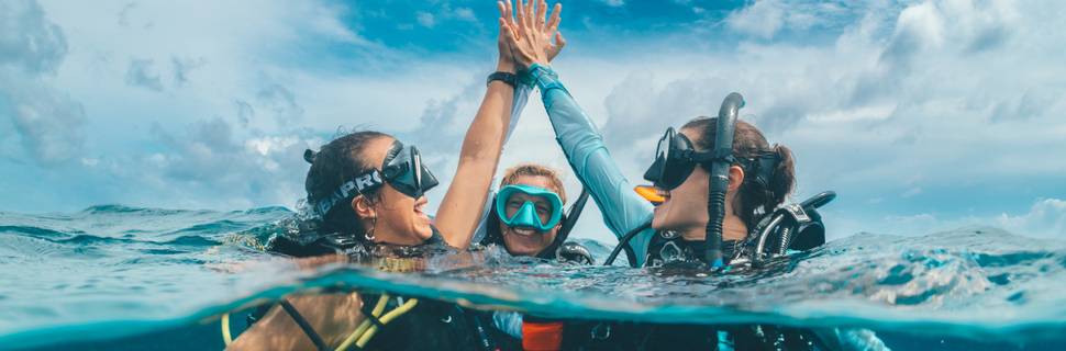 Ocean Turtle Diving