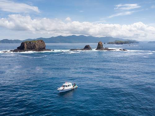 Rich Coast Diving