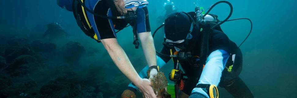 Bali Dive Resort and Spa