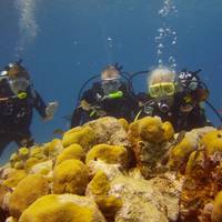 East Coast Diving Center