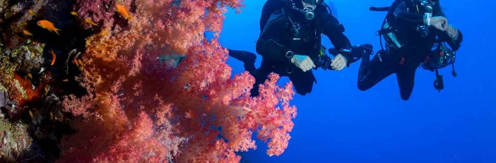 Dive Station Pattaya