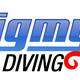 Pigmy Bali Diving