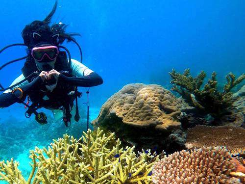 The Reef Dive Resort - Mataking Island
