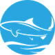 Diving Hurghada Club - Scuba Diving Center In Hurghada