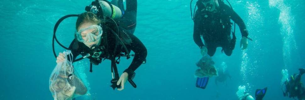 Dive Center el Mar de Valencia