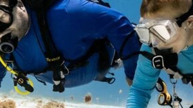 Maple Leaf Scuba