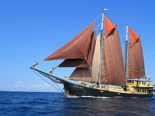 Adelaar Liveaboard