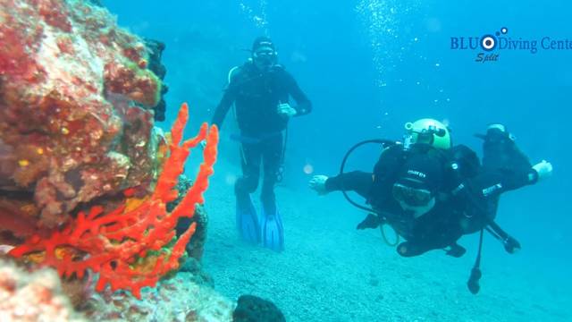 Blu Diving Center