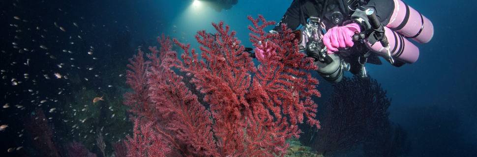 DIVING GROUP PORTOFINO