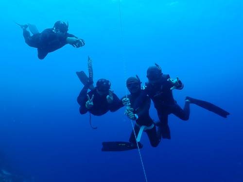 Dive Lab