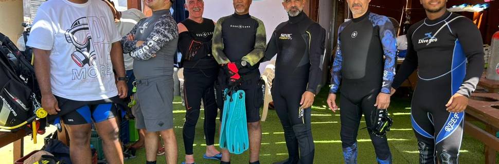 sea college dive club