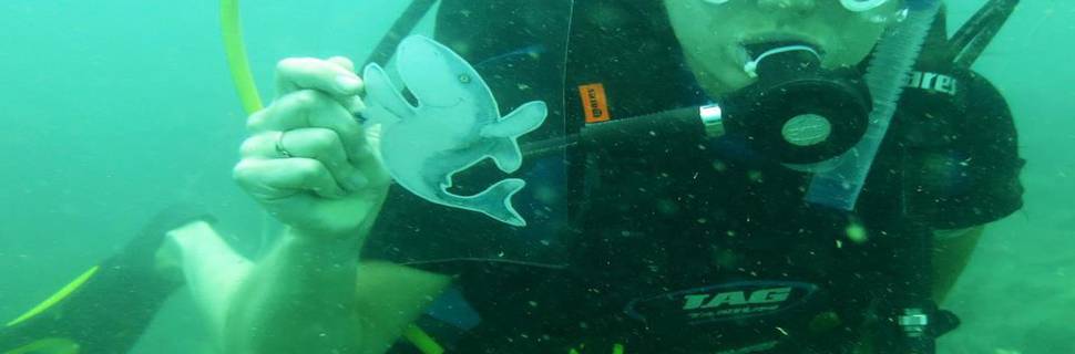 EcoSea Dive Center