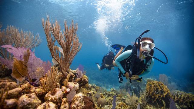Dive Grenada