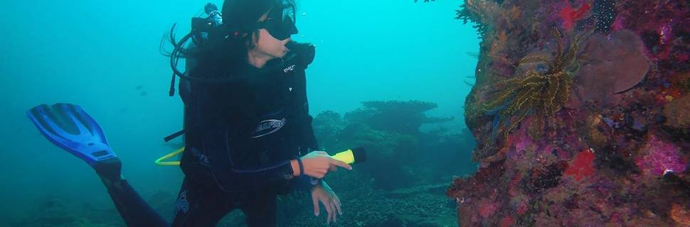 Gayana Dive Centre