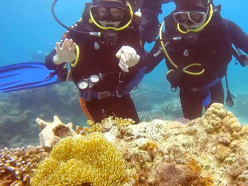 Yegrina Dive Resort
