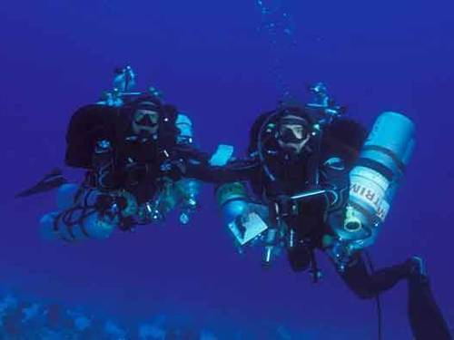PLANET DIVERS