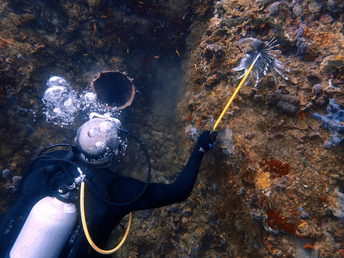 Scuba Panama