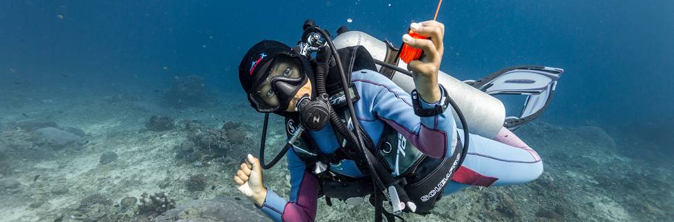 Blue Corner Dive & Marine Conservation - Nusa Lembongan