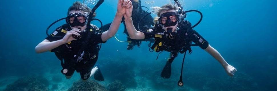 Isla Tortuga Divers
