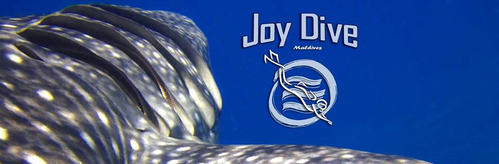Joy Dive