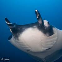 Panama Dive Center