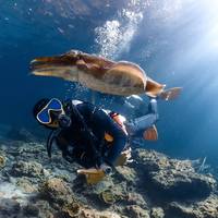 Phi Phi Barakuda Scuba - Dive Center, Diving Phi Phi Island