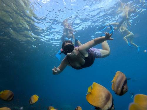 Captain Coconut Snorkeling