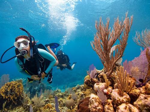 Escafandra Centro de Buceo
