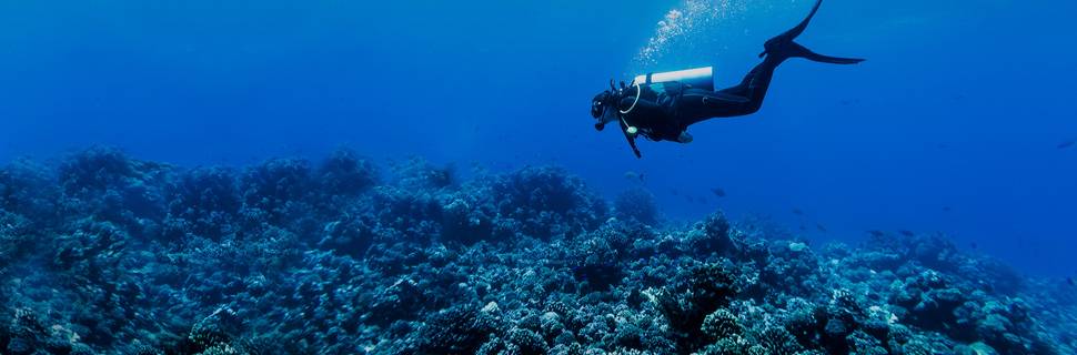 Mydas Dive Center