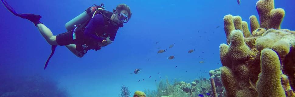 Belize Pro Dive Center