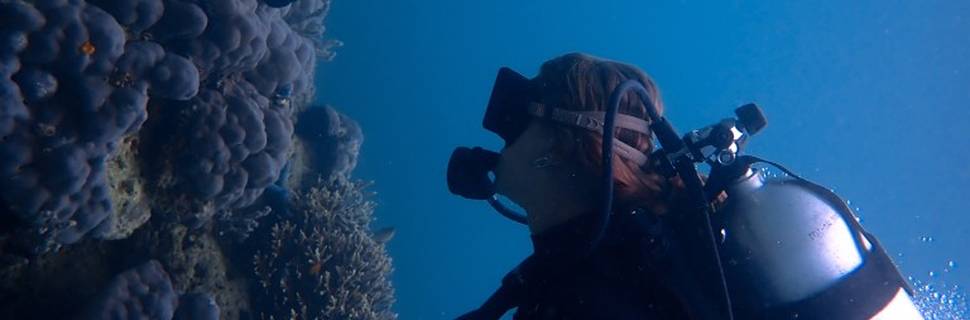 Katembe Dive Resort