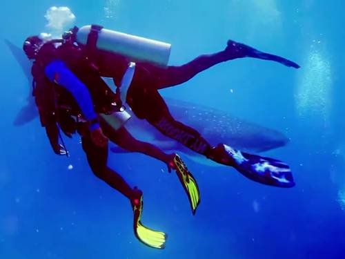 Southseas Beach Resort and Dive Center