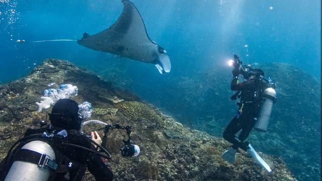 Ocean Dive League IDC center