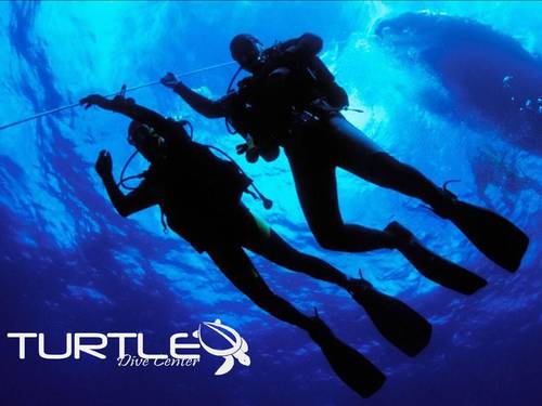Turtle Dive Center