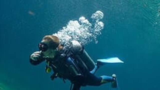Koox Diving Cancun