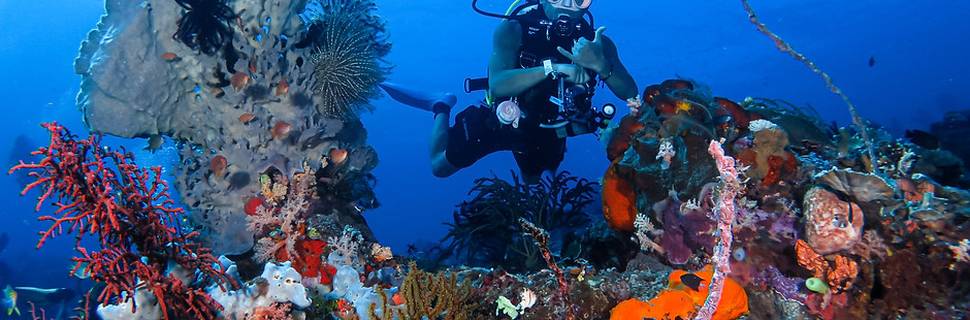 TAGAROA DIVE CENTER