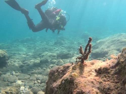 Scuba World Diving Center