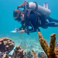Ankay Conservation SA