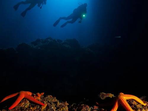 Nero Sport Diving Center