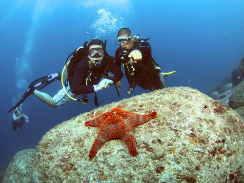 Acapulco Scuba Center