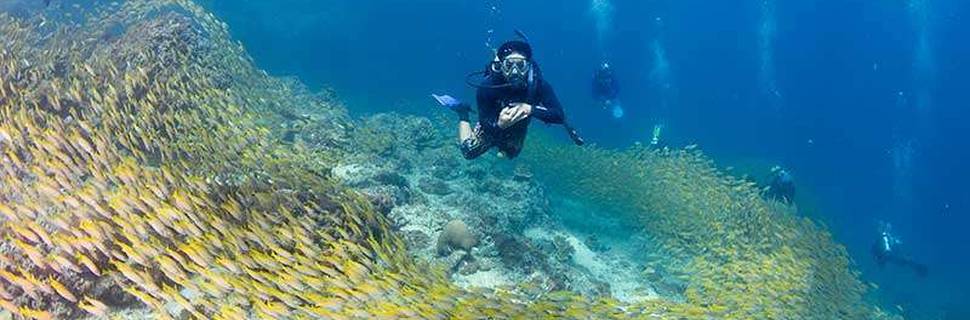 The Adventure Club - Scuba Diving Phi Phi Island