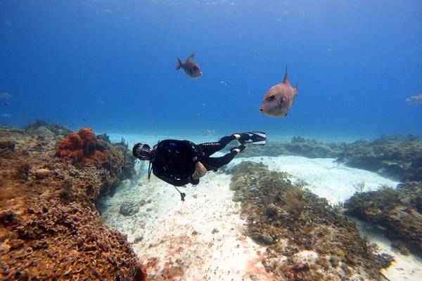 The Cayman Islands
