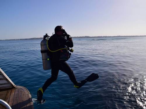 Dive Pro Academy