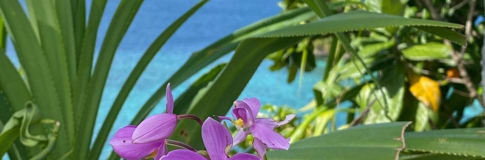 Misool Resort
