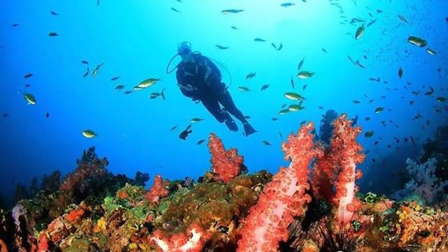 Bali Scuba