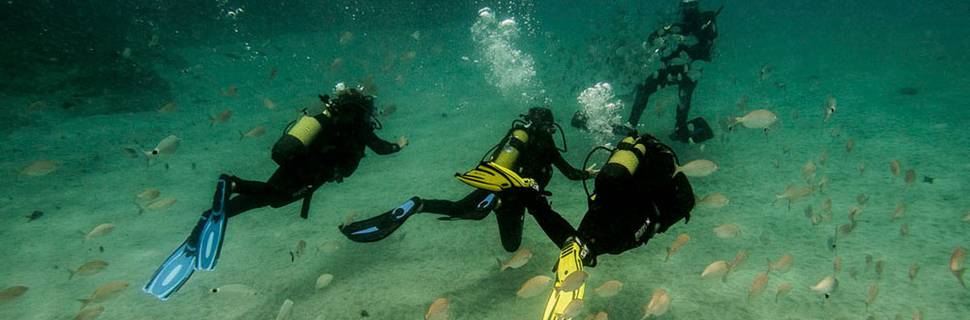Safari Diving Lanzarote